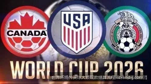 世界杯场外买球大额现款结算流程详解：从交易到账的安全闭环